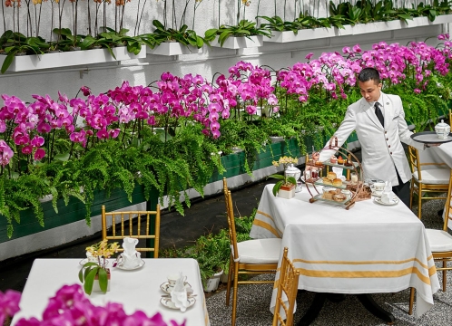 マジェスティックホテル_